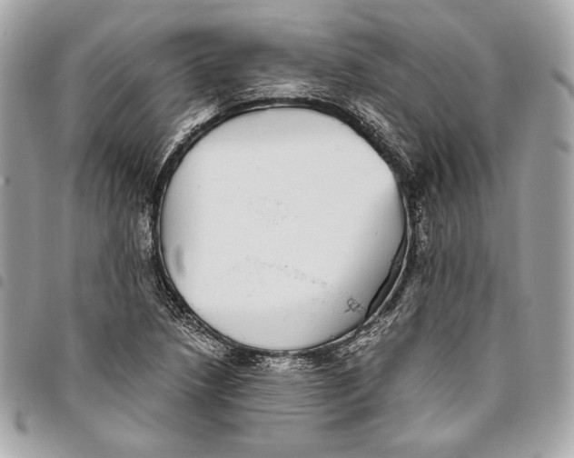 X0000096421218200802071655