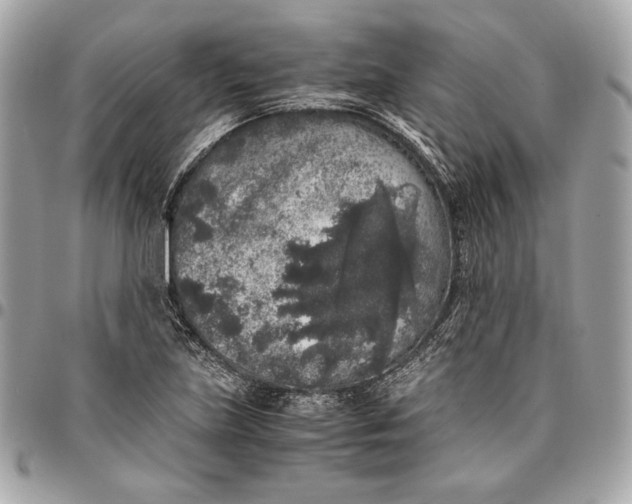 X0000096421219200802071655