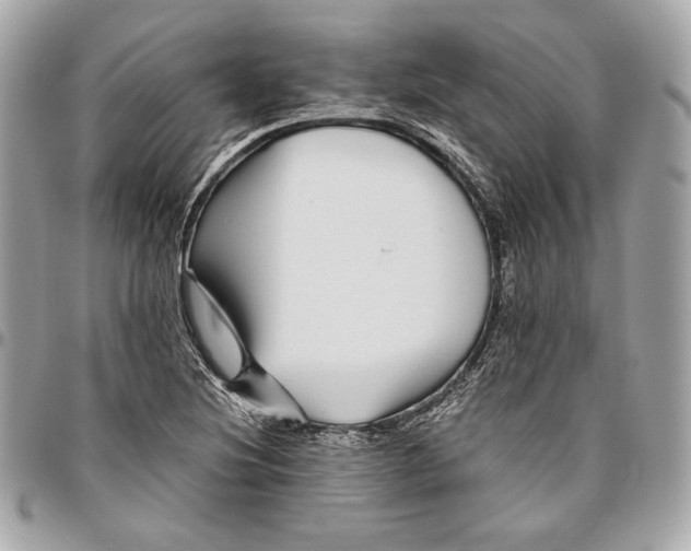 X0000096421220200802071655