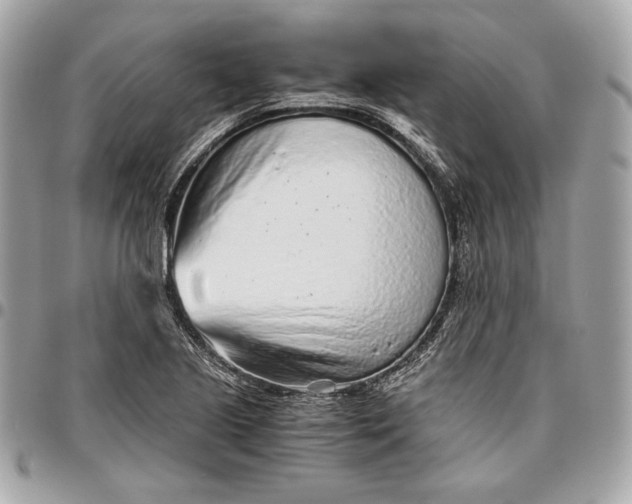 X0000096421221200802071655