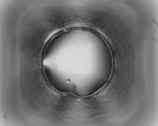 X0000096421222200802071655