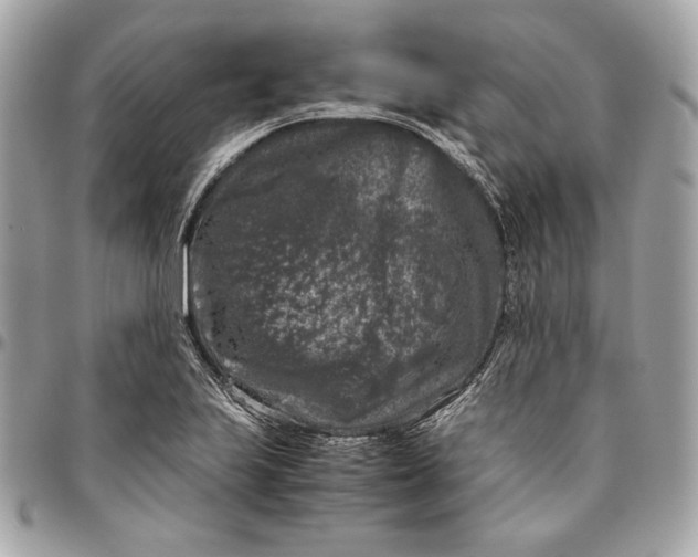 X0000096421223200802071655