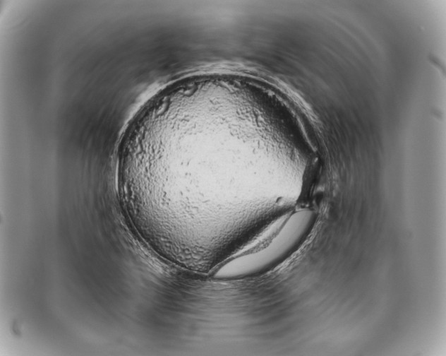 X0000096421224200802071655