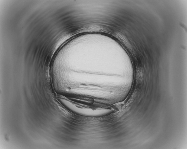 X0000096421226200802071655