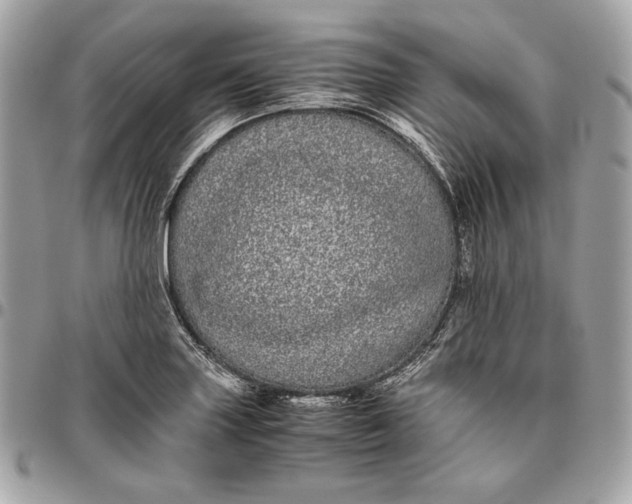 X0000096421227200802071655