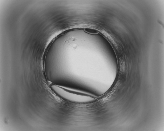 X0000096421230200802071655