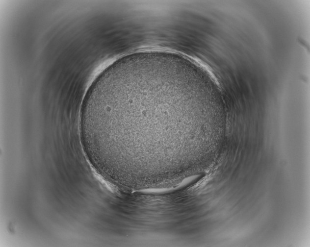 X0000096421231200802071655