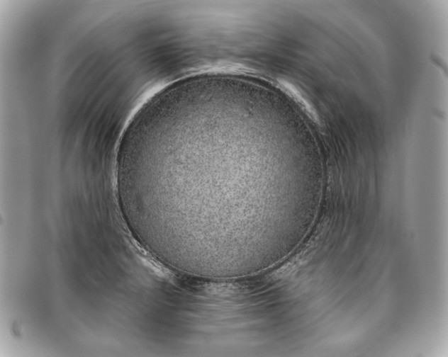 X0000096421232200802071655