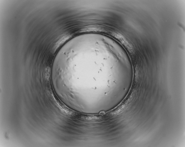 X0000096421233200802071655