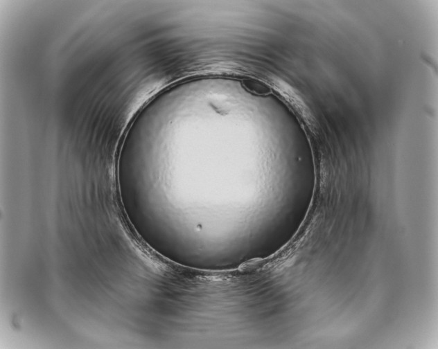 X0000096421234200802071655