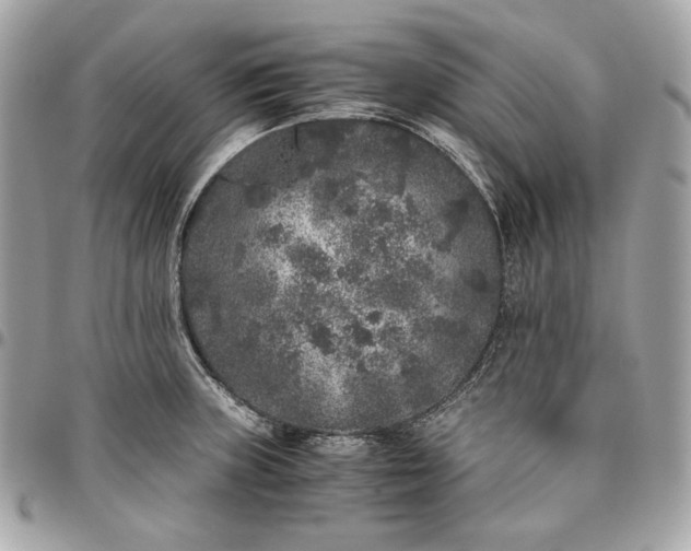 X0000096421235200802071655