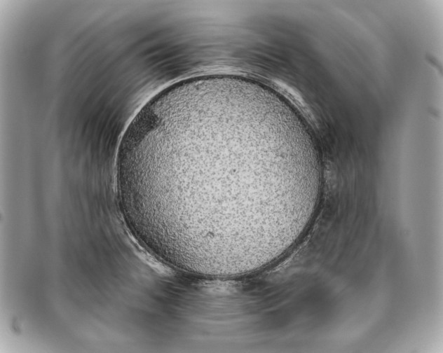 X0000096421236200802071655