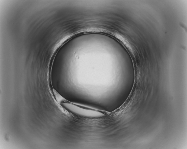 X0000096421237200802071655