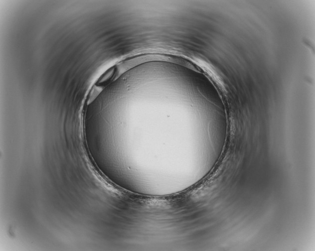 X0000096421238200802071655