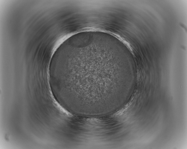 X0000096421239200802071655