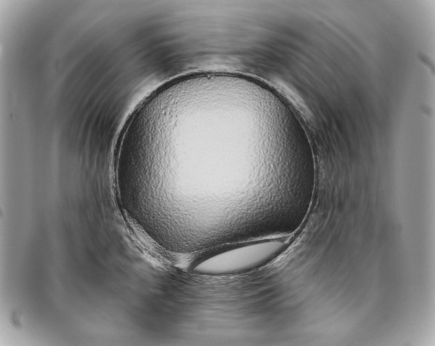 X0000096421240200802071655