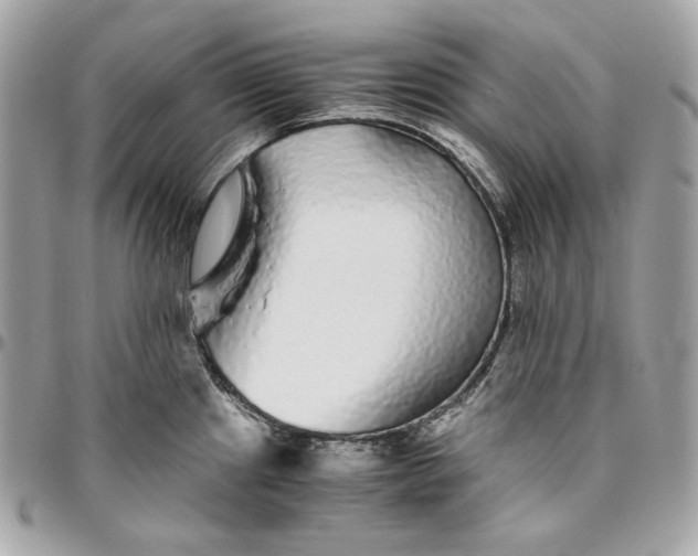 X0000096421241200802071655