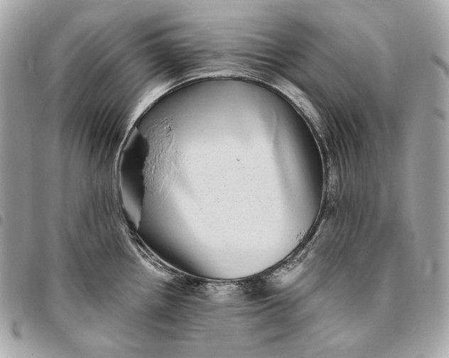 X0000096421242200802071655