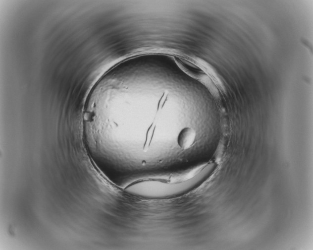 X0000096421244200802071655