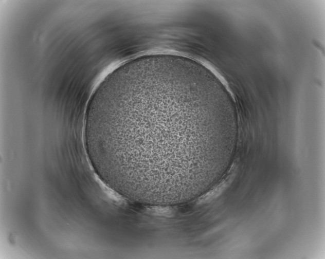 X0000096421245200802071655