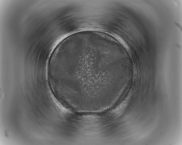 X0000096421246200802071655