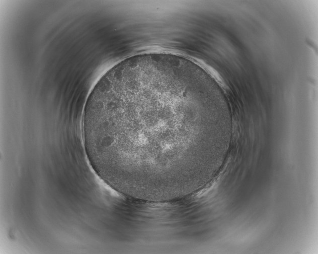 X0000096421247200802071655