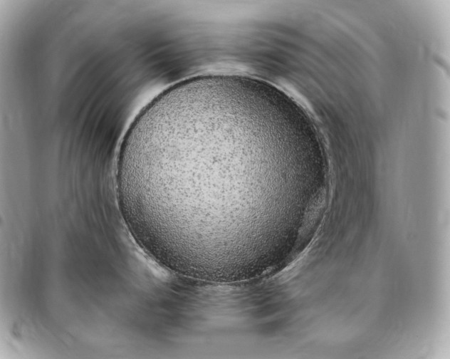 X0000096421248200802071655