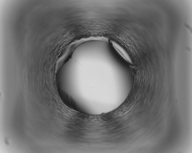 X0000096421249200802071655