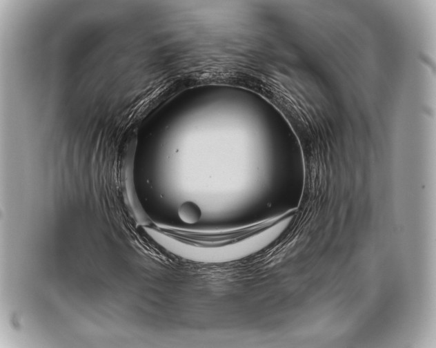 X0000096421250200802071654