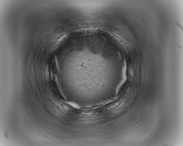 X0000096421252200802071654