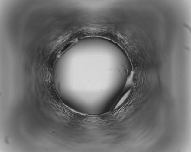 X0000096421253200802071654