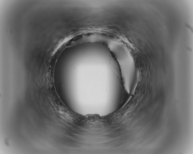 X0000096421256200802071654