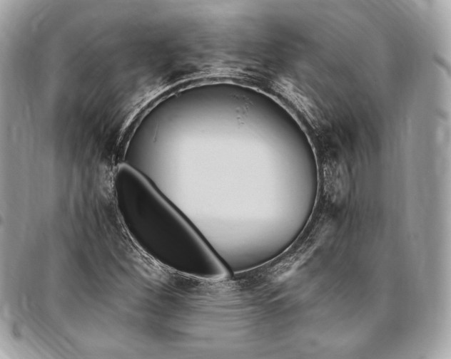 X0000096421260200802071654