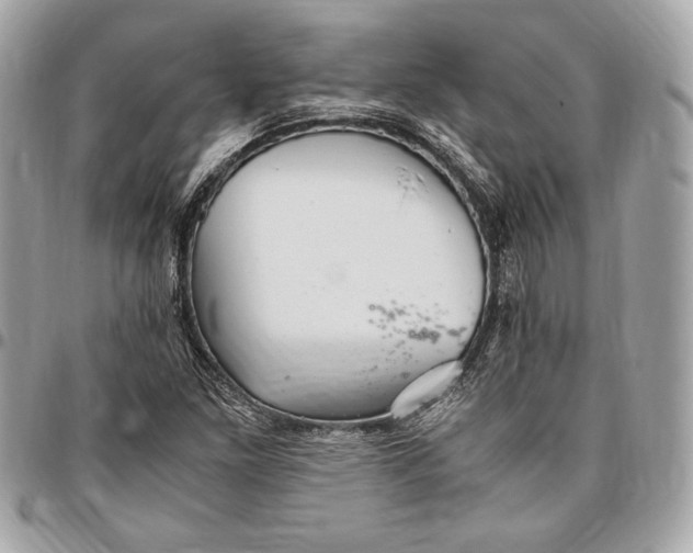 X0000096421261200802071654