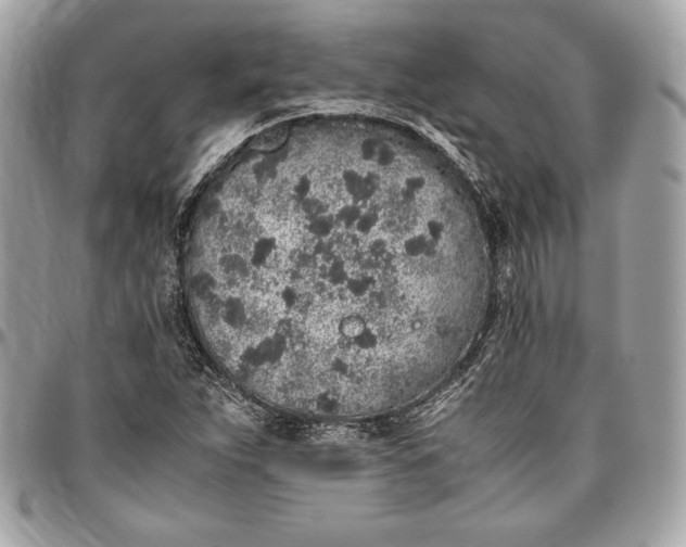 X0000096421263200802071654