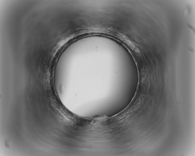 X0000096421264200802071654