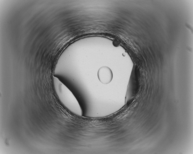 X0000096421265200802071654