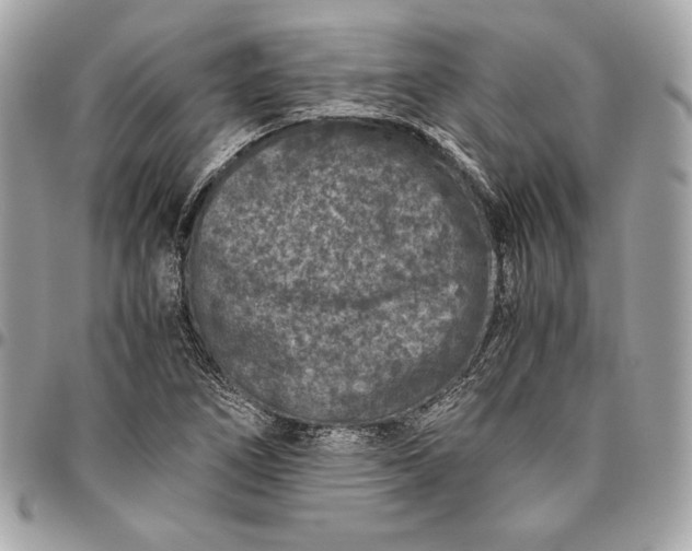 X0000096421266200802071654