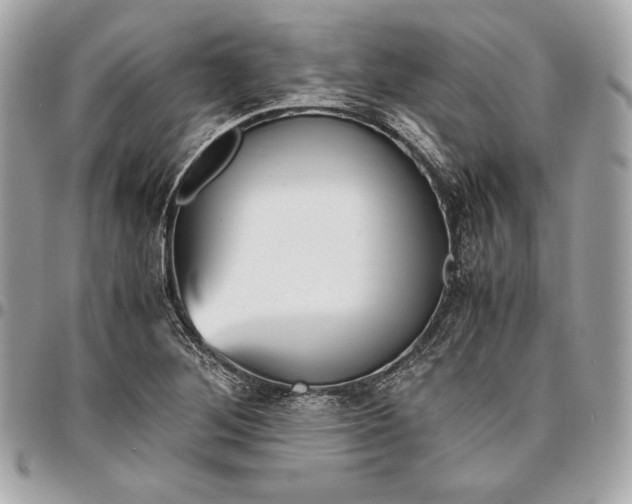 X0000096421268200802071654