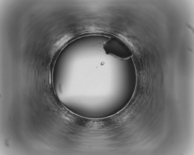 X0000096421269200802071654