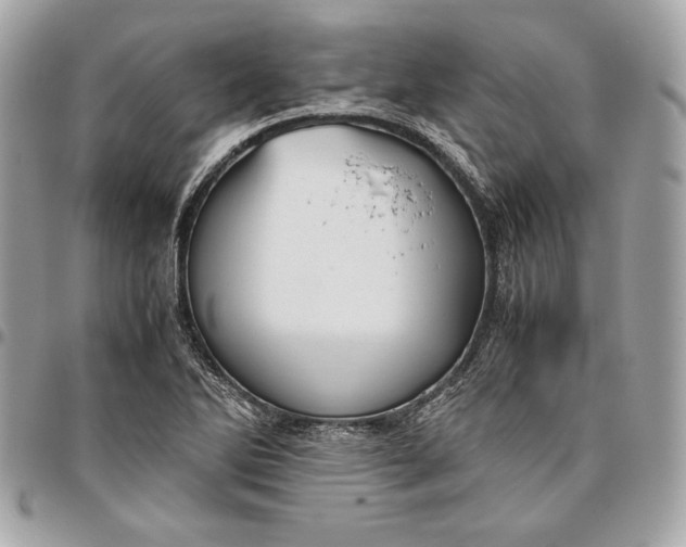 X0000096421270200802071654