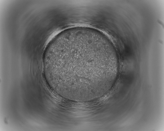 X0000096421271200802071654