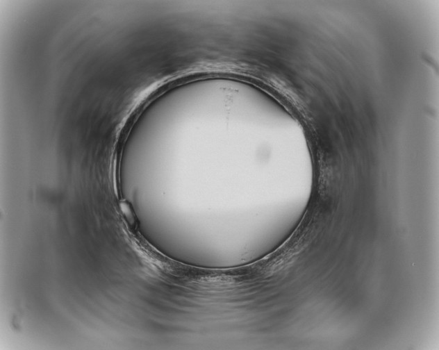 X0000096421272200802071654