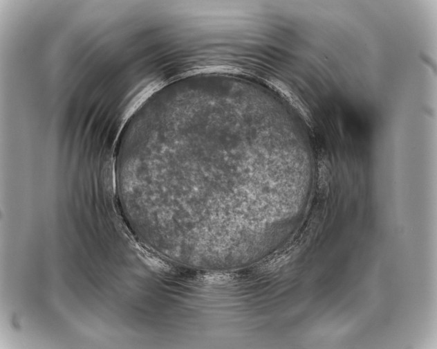 X0000096421274200802071654