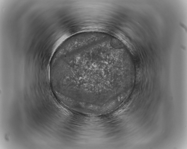 X0000096421275200802071654