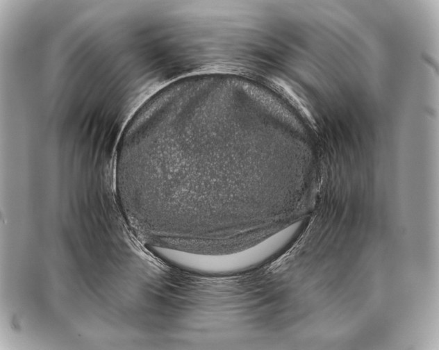 X0000096421276200802071654