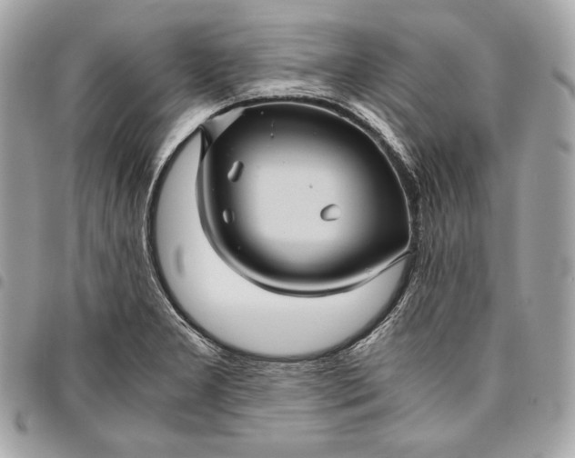 X0000096421277200802071654