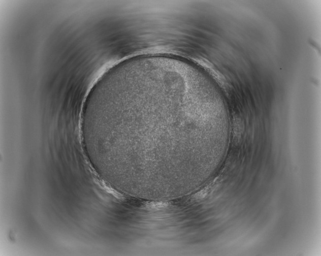 X0000096421278200802071654