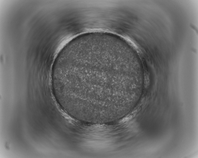 X0000096421279200802071654