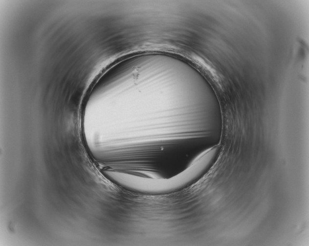 X0000096421280200802071654